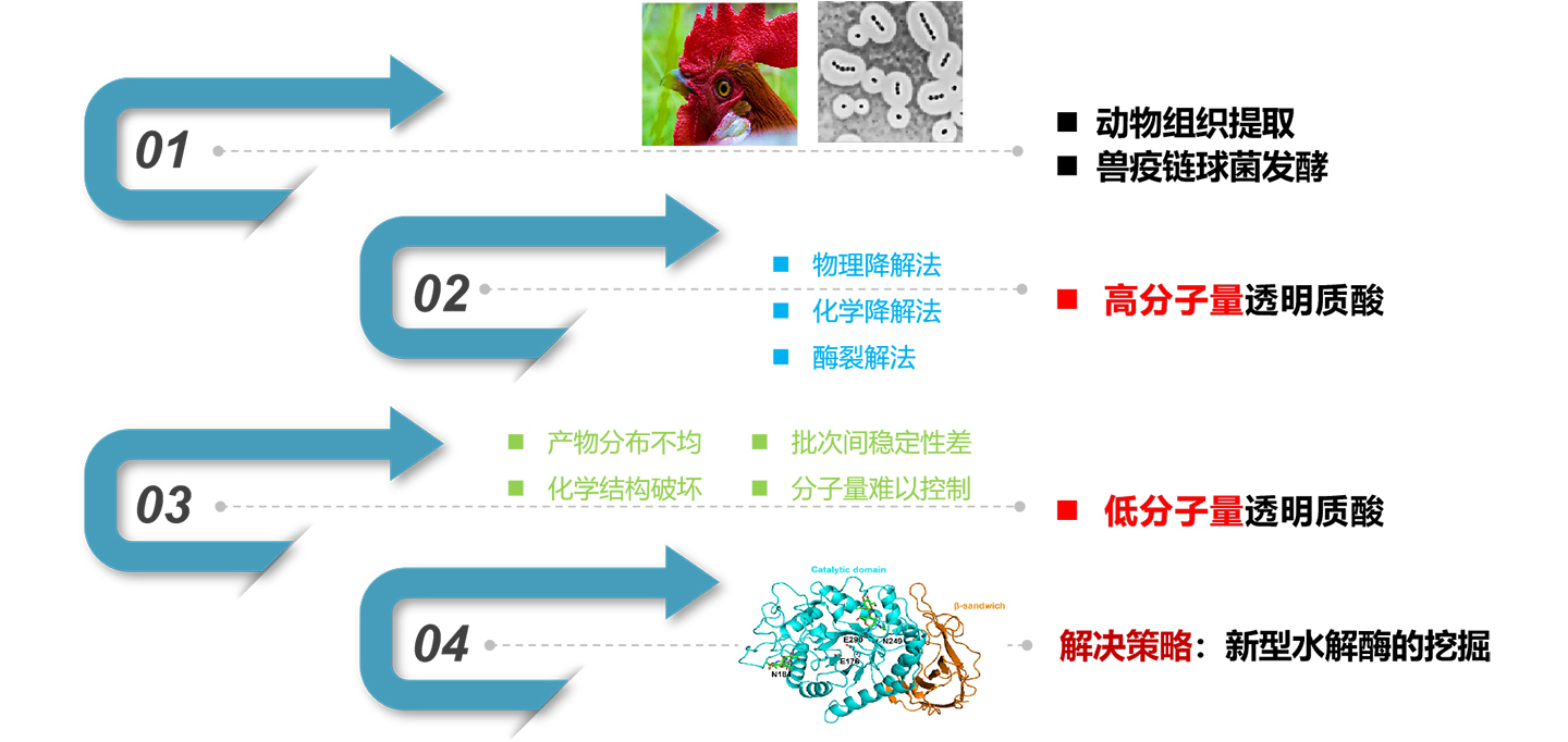 2721682039986571.jpg 圖片1.jpg