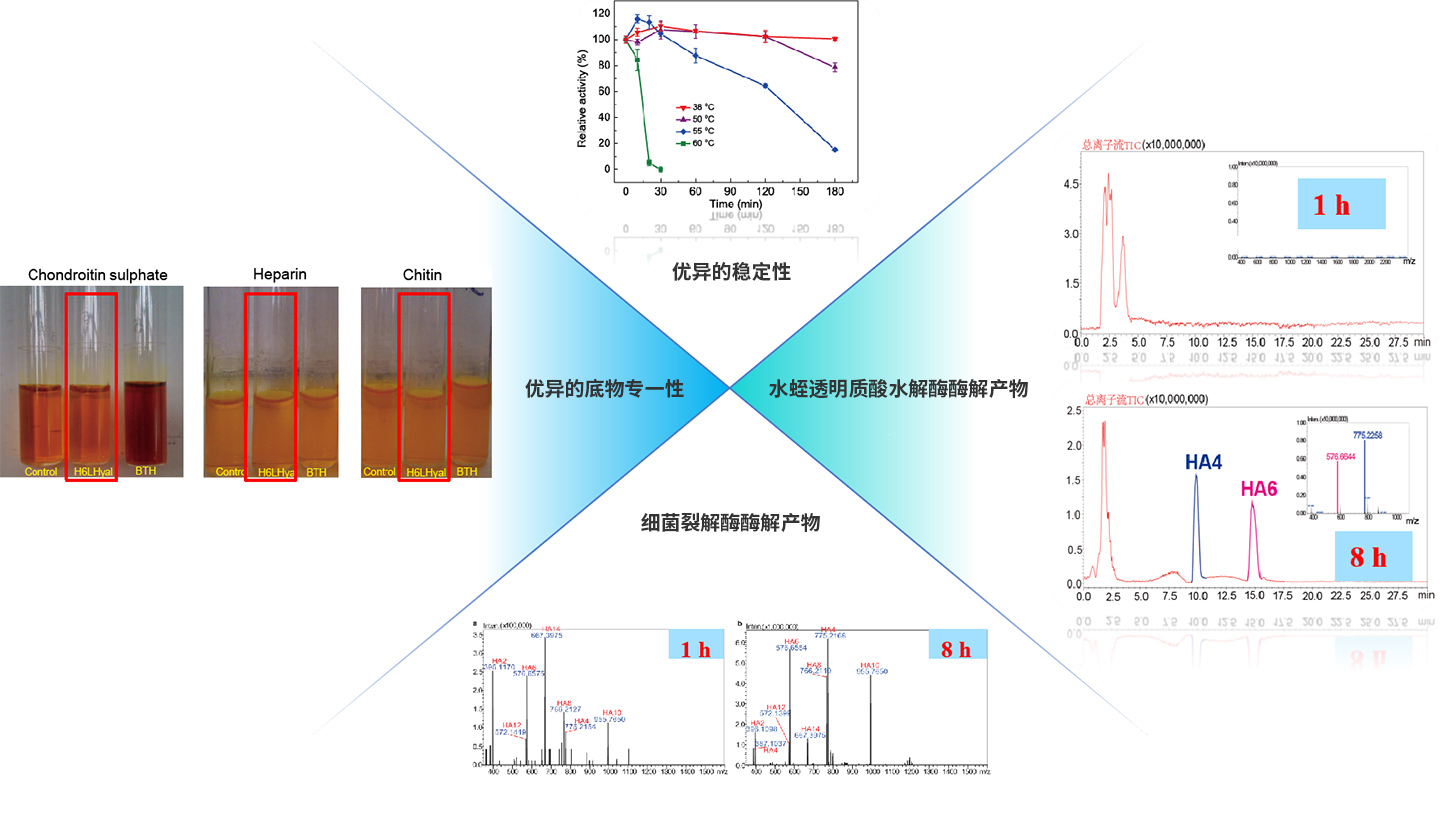 7001681896734800.jpg 圖片9.jpg